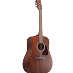 Ibanez AW54OPN Artwood Acoustic Guitar, Open Pore Natural