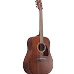 Ibanez AW54OPN SPECIAL DEAL!!! Artwood Acoustic Guitar - Open Pore Natural