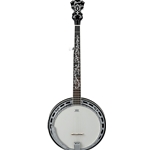 Ibanez B300 5-String Closed Back Banjo, Natural