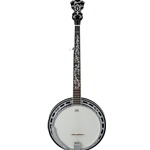 Ibanez B300 5-String Closed Back Banjo - Natural