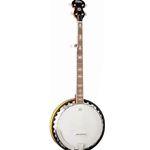 B10-A-U Washburn Banjo-Sunburst Gloss