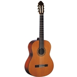 Washburn C5-WSH-A-U Classical Acoustic Guitar