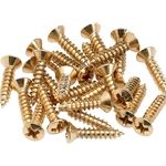 Fender 0994924000 Pickguard/Control Plate Mounting Screws (24) (Gold)