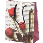 AM Gifts  65900 Small Sheet Music Bag