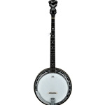 Ibanez BA250 USA 250th Anniversary Resonator Banjo - Eagle