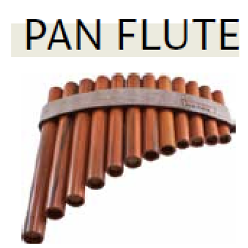 Shepherd CF12 Pan Flute 12 Note A to E