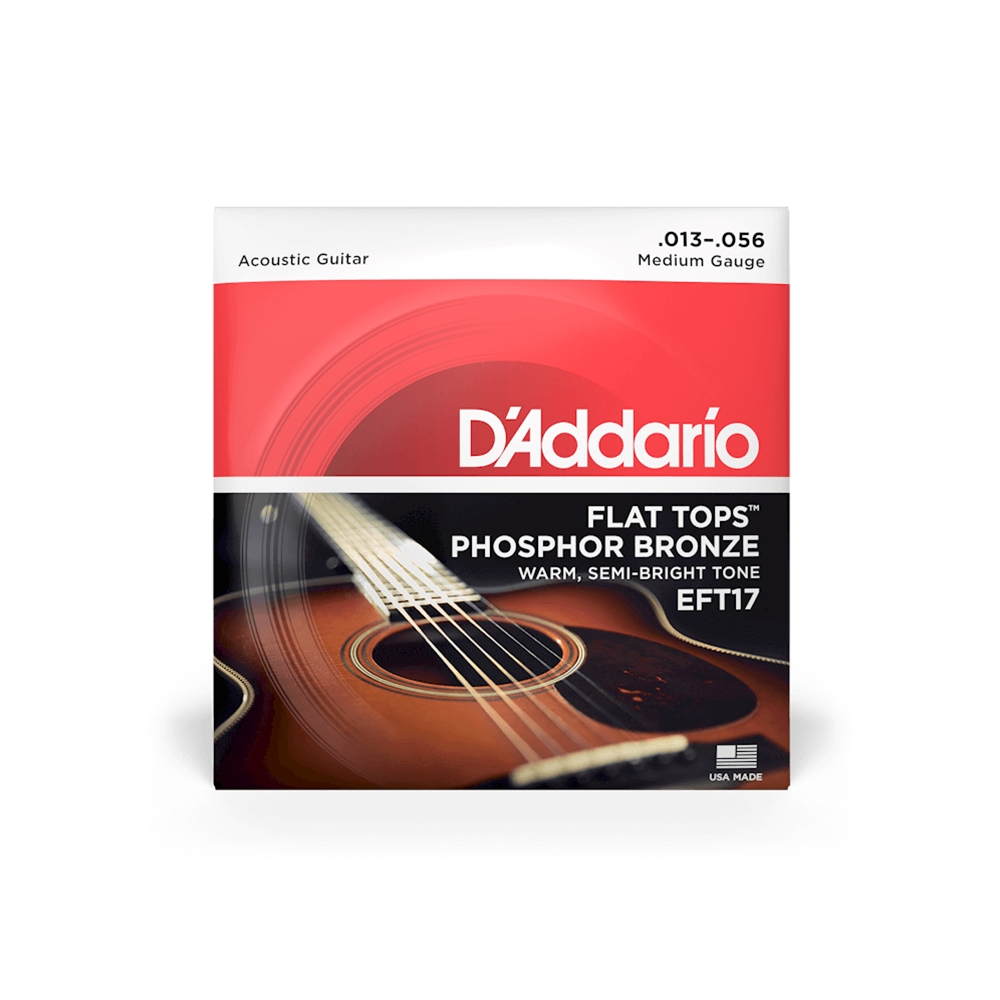 D'Addario EFT17 Flat Top Bronze Medium, ENV PKG