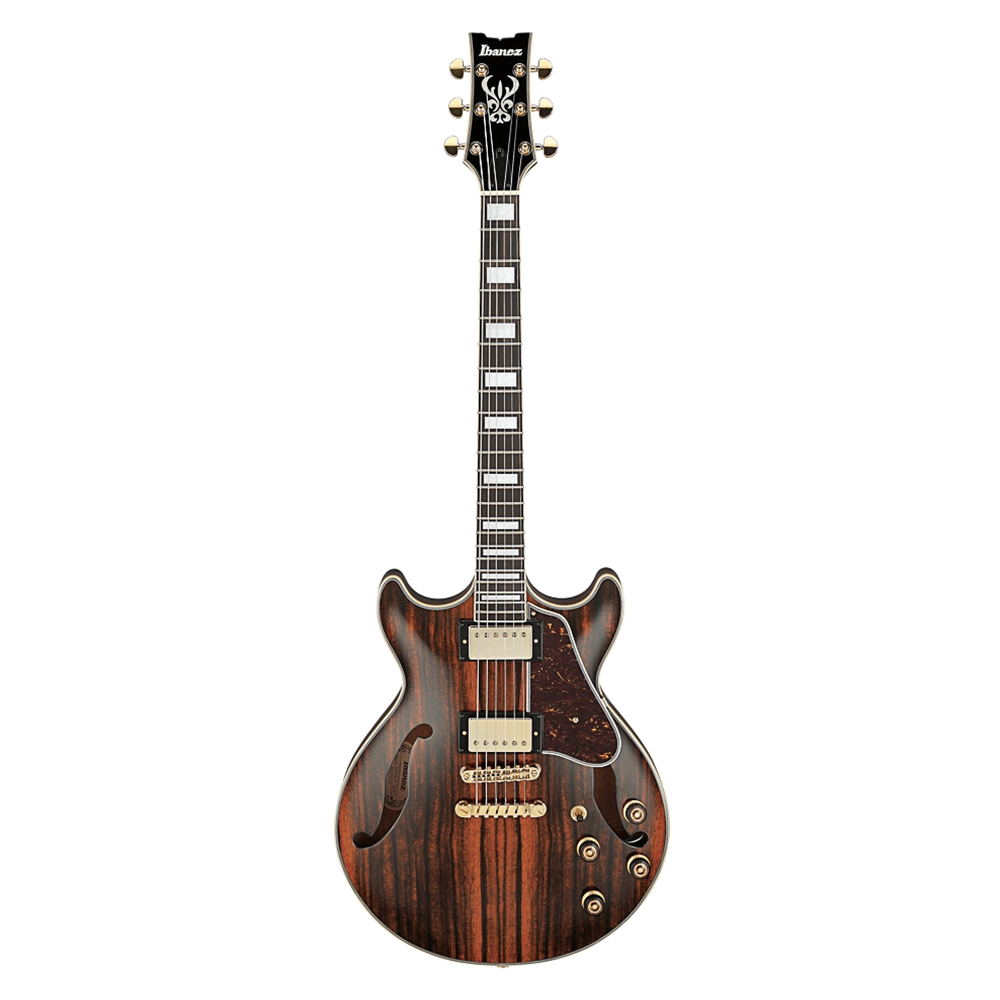 Ibanez AM93MENT Artcore Hollow Body Electric Guitar, Ebony