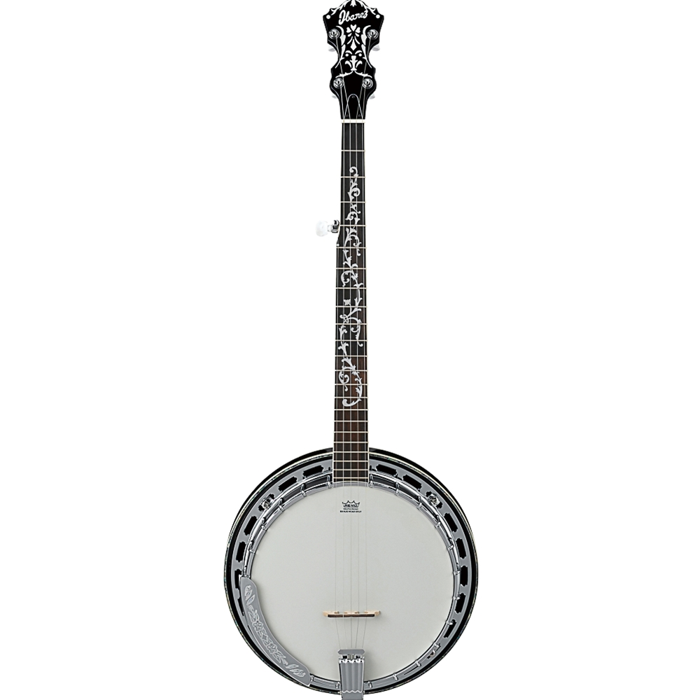Ibanez B300 5-String Closed Back Banjo, Natural