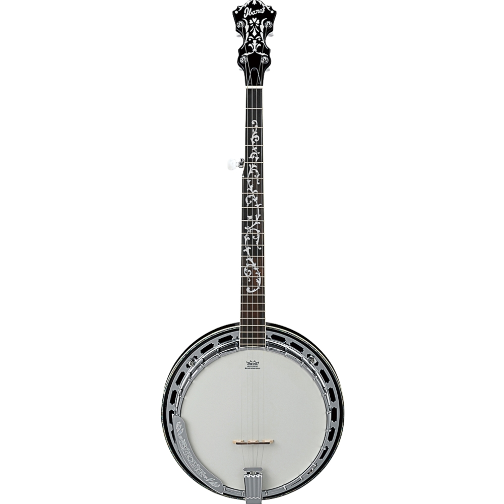 Ibanez B300 5-String Closed Back Banjo - Natural