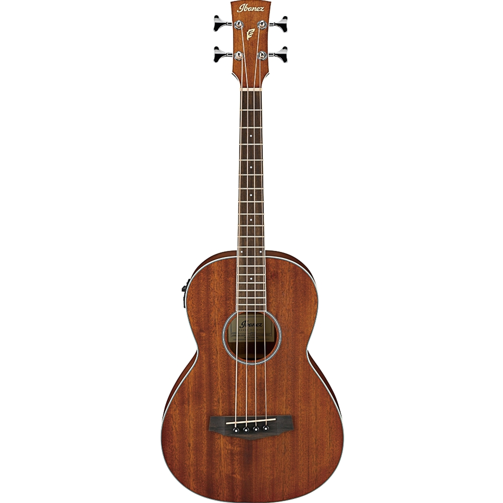 Ibanez PNB14EOPN Acoustic Electric Bass Guitar, Open Pore Natural
