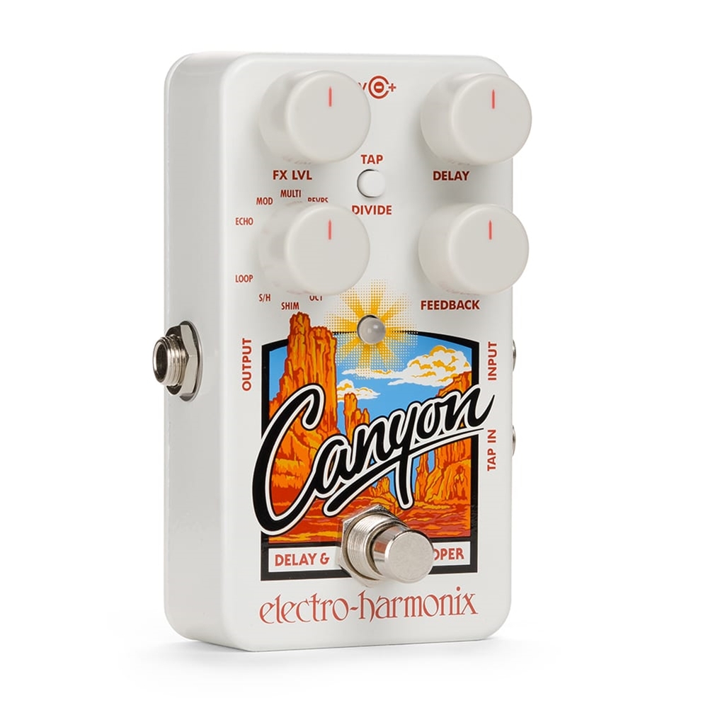 Electro-Harmonix CANYON Delay and Looper Guitar Effects Pedal