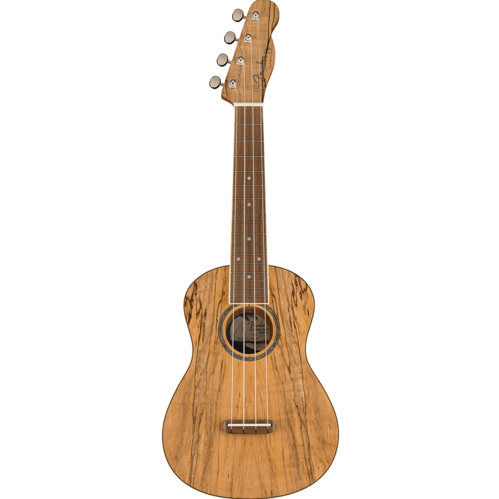 Fender 0970450594 Zuma Exotic Concert Ukulele, Spalted Maple