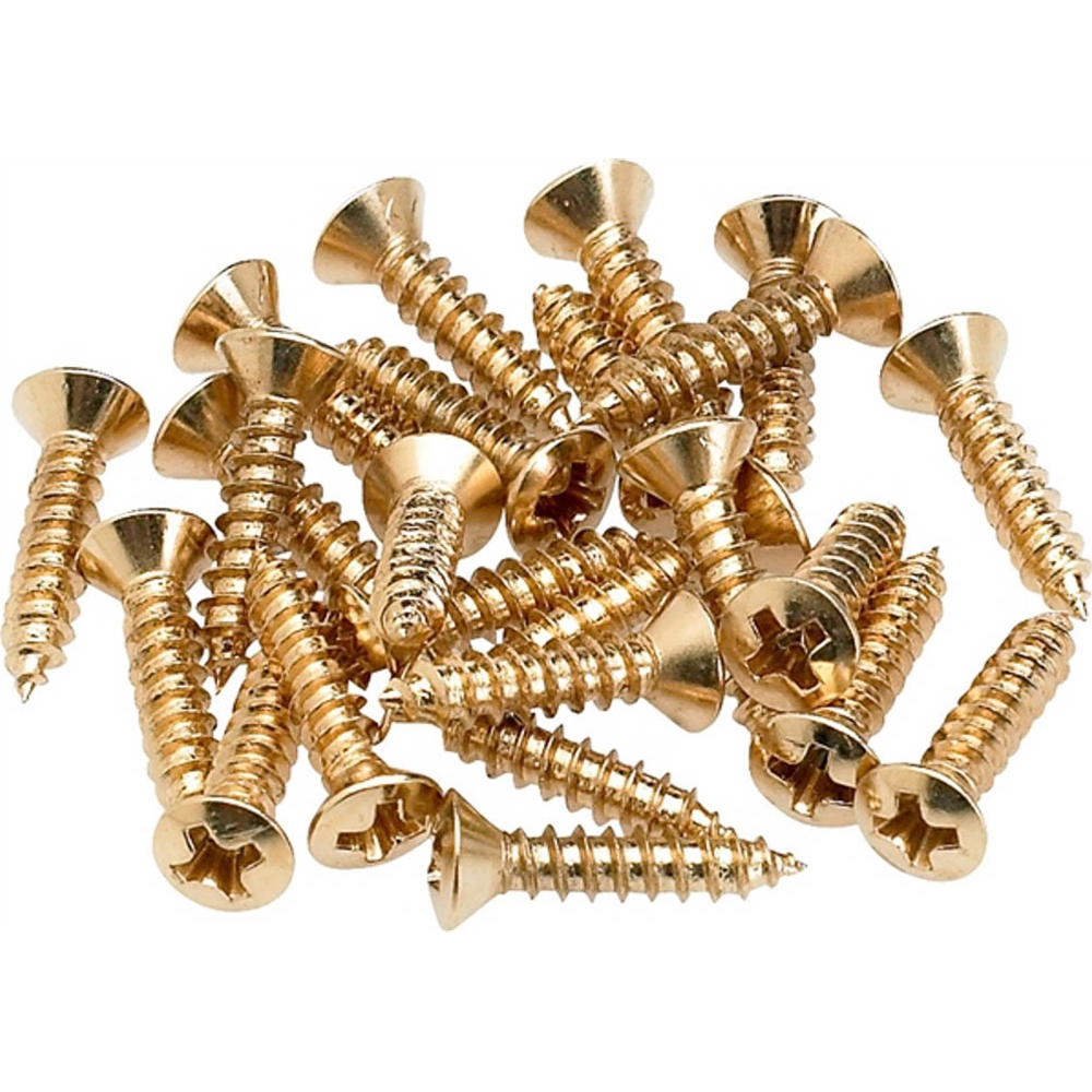 Fender 0994924000 Pickguard/Control Plate Mounting Screws (24) (Gold)