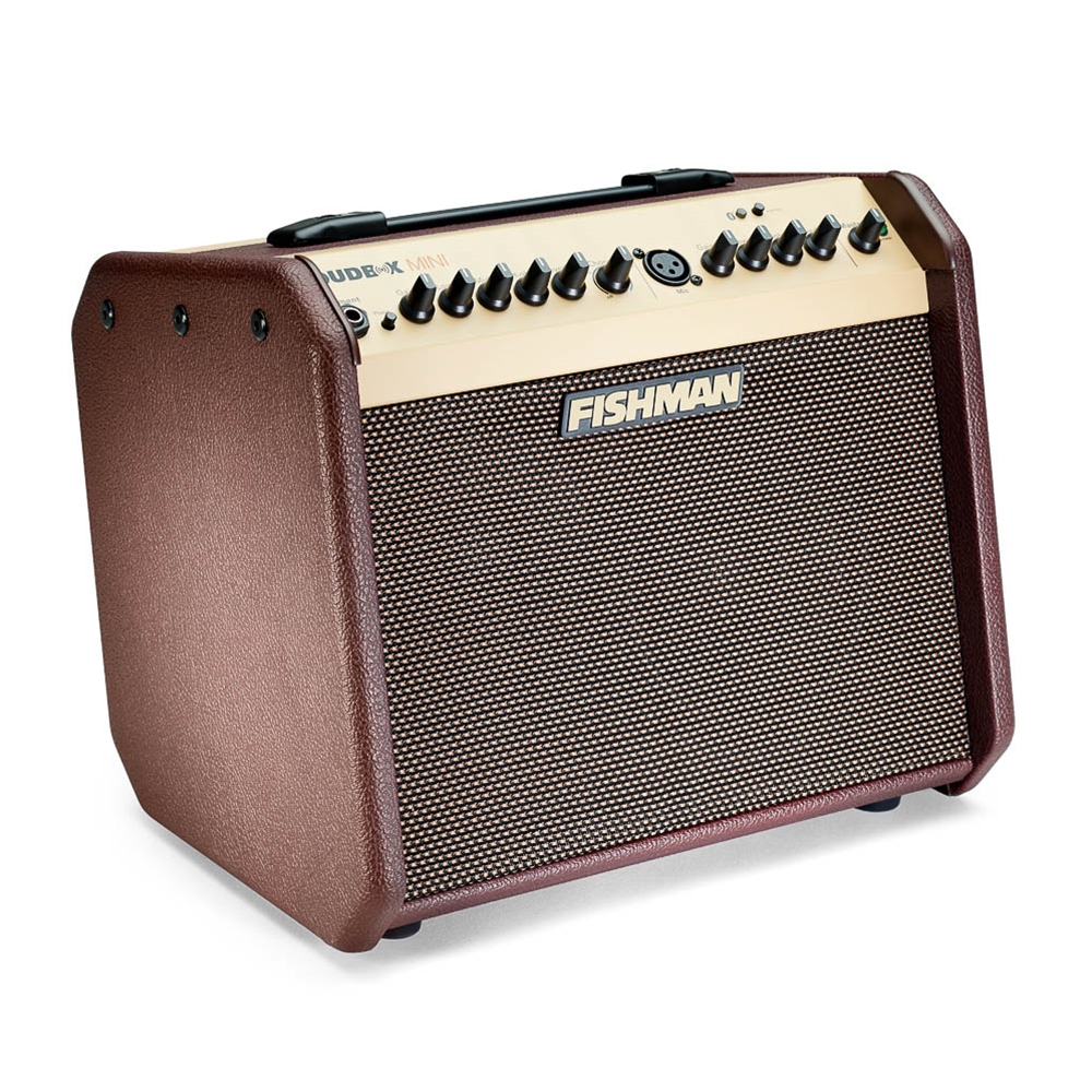Fishman PRO-LBT-500 Loudbox Mini 60 Wt Acoustic Guitar Amplifier and 50% OFF Deluxe Carry Bag!