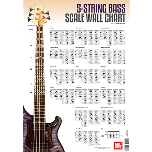 5-String Bass Scale Wall Chart