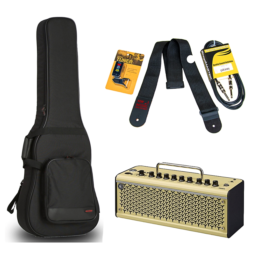 NW Music THR10IIDLXBASSP Deluxe THR10 Amplifier Bass Guitar Package