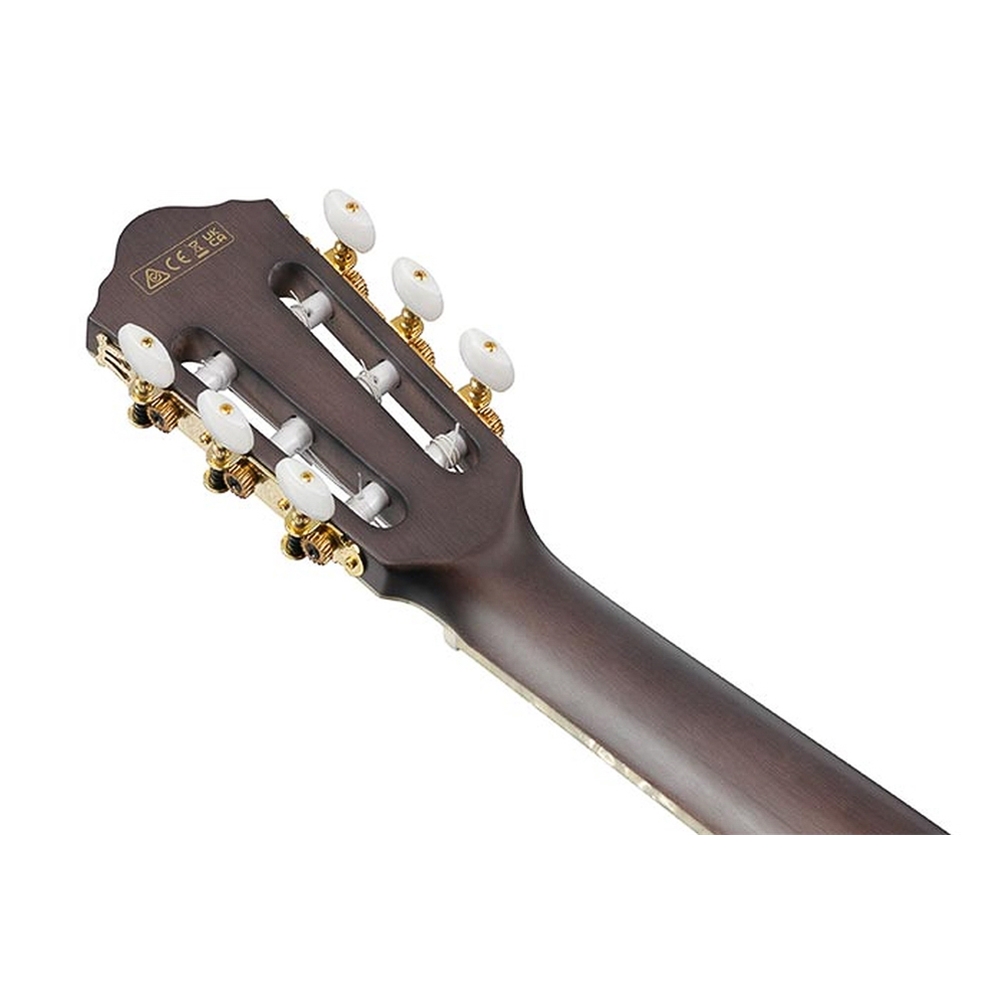 NW Music Store - Ibanez TOD10NTKF Tim Henson (Polyphia) Acoustic